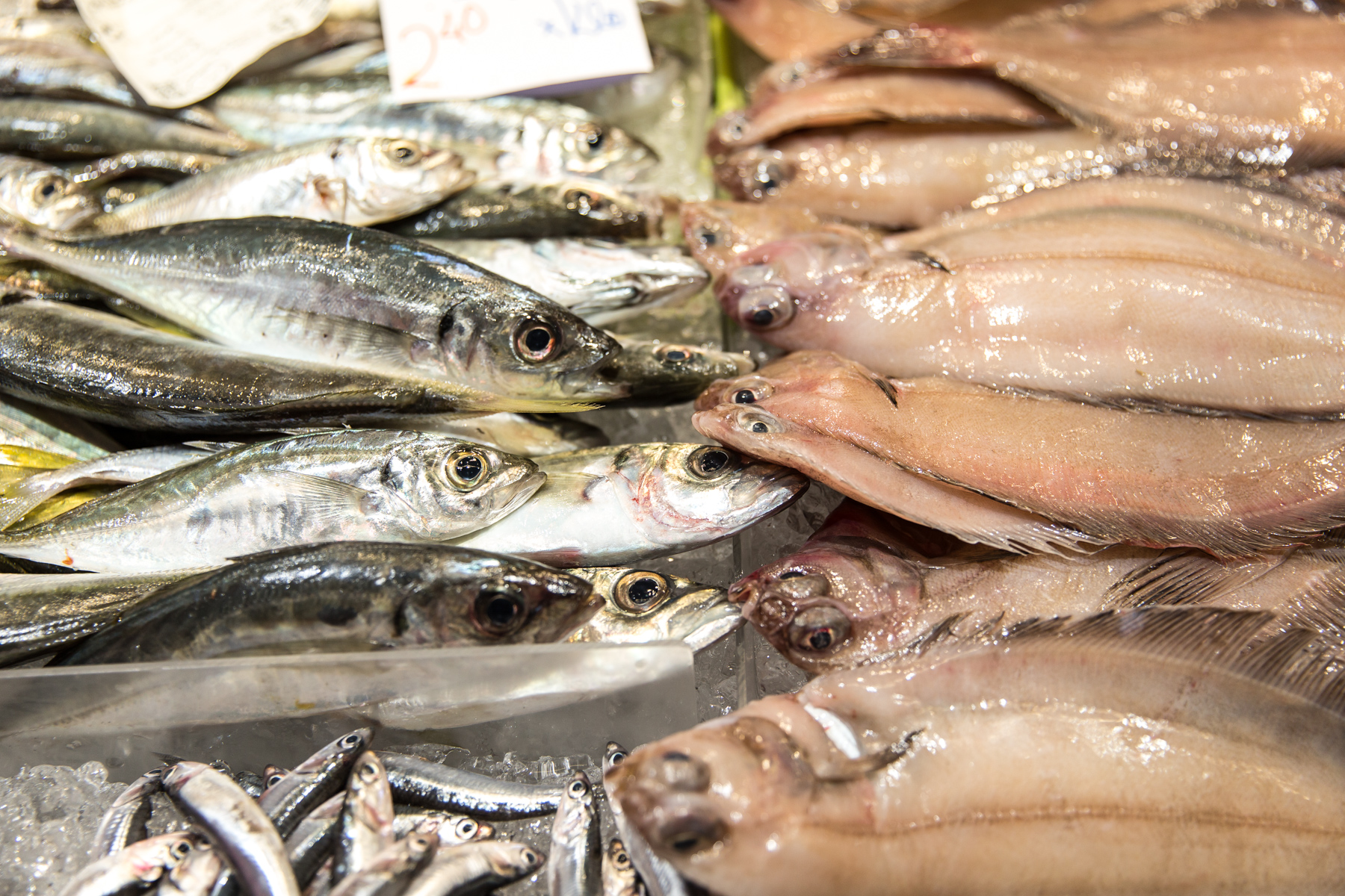 Imatge del mercat 9
