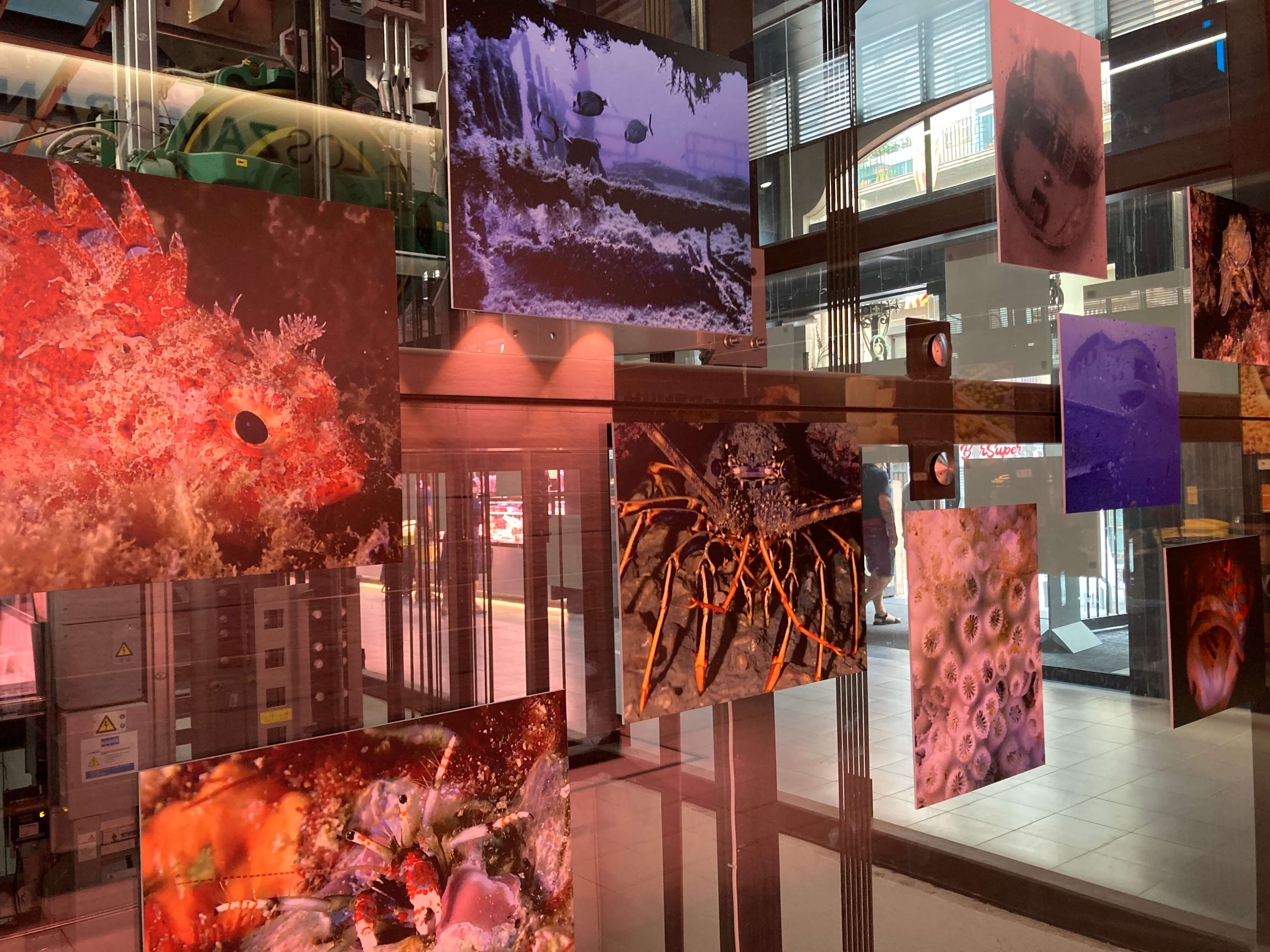 Exposición "Tarragona sota el mar"